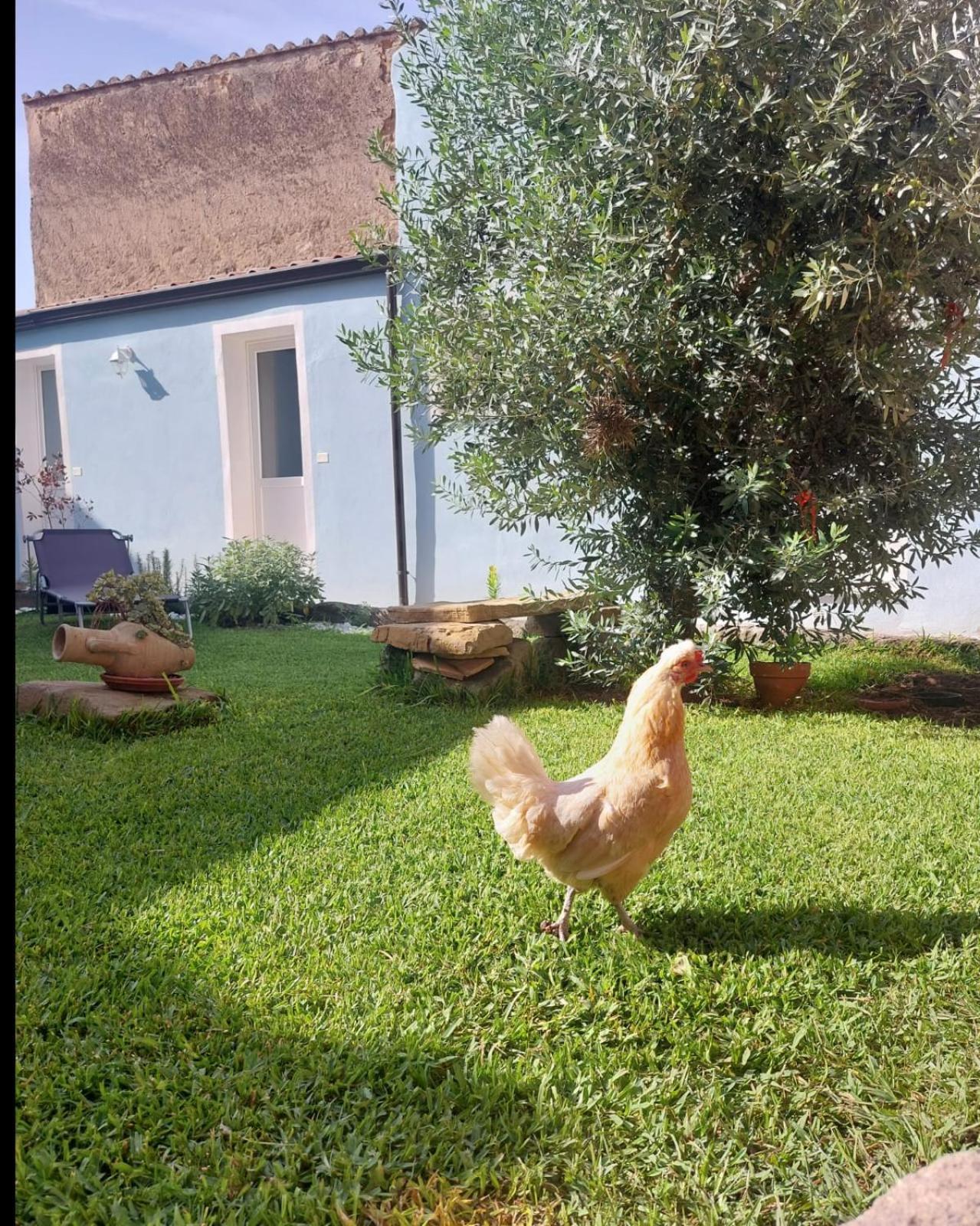 B&B Il Borgo Delle Emozioni Dolianova Екстериор снимка